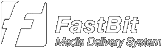 FastBit - Media Delivery System
